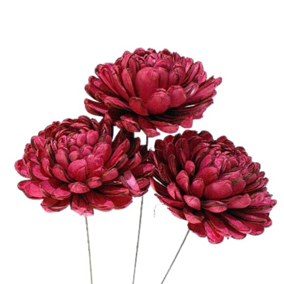 SHAVED WOOD SOLA CHRYSANTHEMUM - Picture 1 of 7